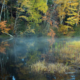 Early Morning Light with Fog / Near Manitowish Waters / North Wisconsin