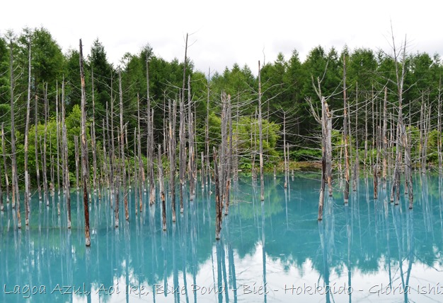 Lagoa Azul - Biei - Hokkaido - Glória Ishizaka - 20