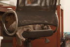 Kanji is tired of working so hard at the desk.