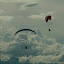 Her pilot was particularly keen on spinning around at speed towards the ground...