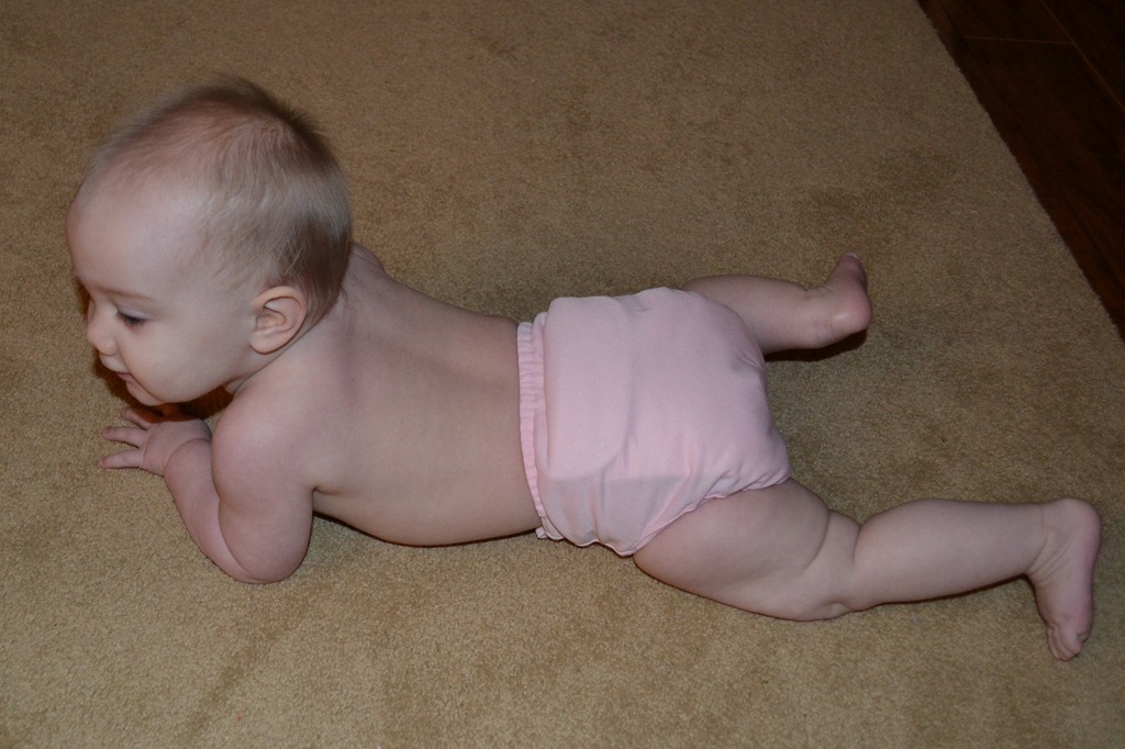 [DSC_0895%255B2%255D.jpg]