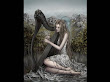 Marvelous Song Of The Harp