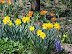Mt Vernon in Spring
