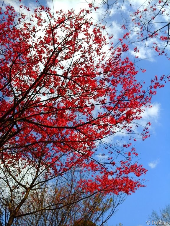 [2014-01-31%252010.54.28%255B5%255D.jpg]