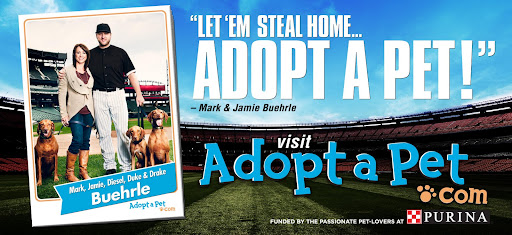 These adoption-promoting billboards featuring Mark and Jamie are currently up all over the Chicagoland area. These adoption-promoting billboards featuring Mark and Jamie are currently up all over the Chicagoland area.