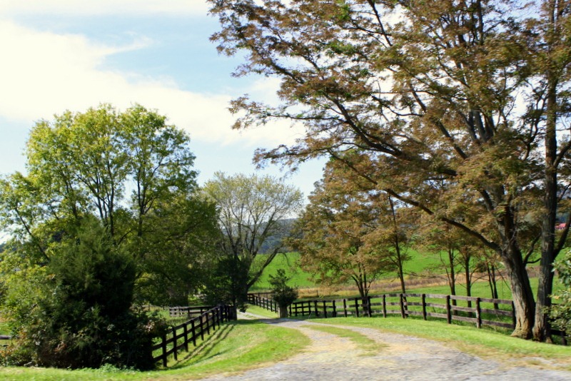[Virginia%2520Trip-%2520October%25202011%2520320%255B1%255D.jpg]