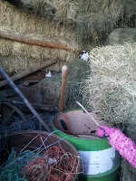 IMG_20130127_161245.jpg