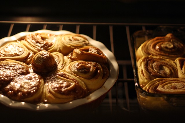 [IMG_8027_7358%255B2%255D.jpg]