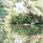DSCN2979.JPG