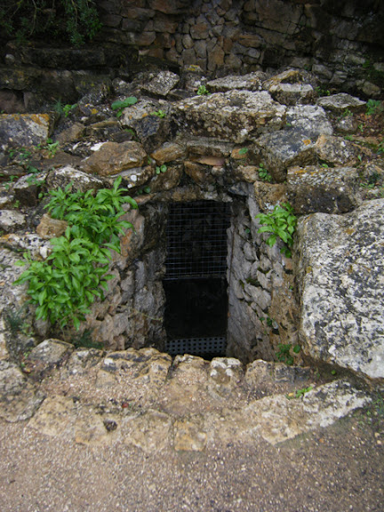 2011_11042245.jpg