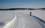 IMG_2272