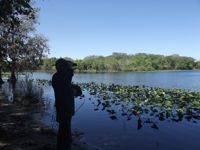 [ManateeandBlackBearTrail0903.jpg]