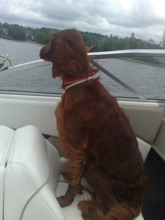 [Bild339%255B3%255D.jpg]