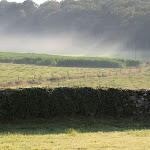 IMG_1173.JPG