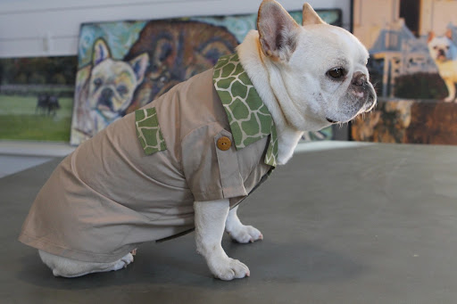 Dress your pet fashionista in this rugged design, which is sure to turn heads with its high-end look and comfy feel.  This khaki colored shirt with safari trim even has wooden buttons on the sleeves.