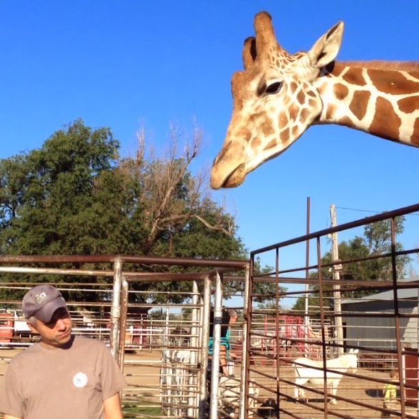 [2013-09-02_1378130937%255B3%255D.jpg]