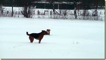 Schnee11 Schnee11