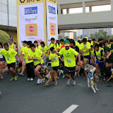 Pet Express Doggie Run 2012 Philippines. Jpg (37).JPG