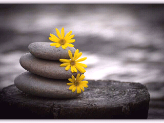 amor paz armonia serenidad serenidad