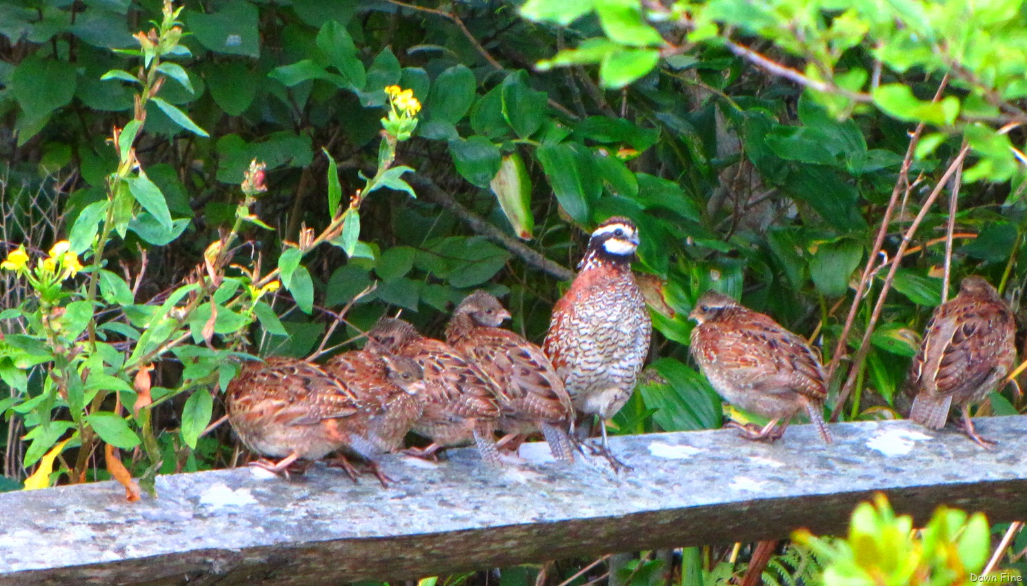 [Wellfleet-Audubon_0019.jpg]