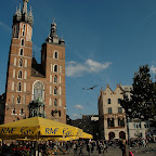 DSC_8040.jpg