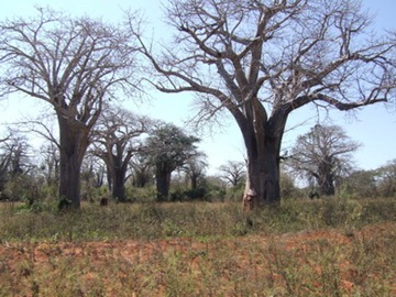 [DSCF8312%255B5%255D.jpg]