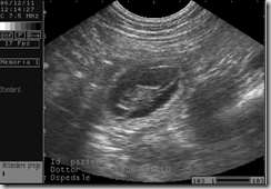 Diagnosi di gravidanza nella cagna e nella gatta (II)