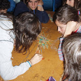 campaments2006-26.jpg