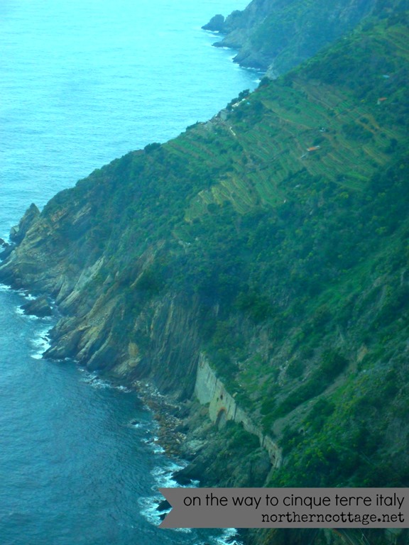 [to-cinque-terre-italy-northerncottag.jpg]