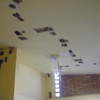 010.JPG