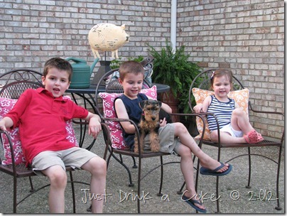 IMG_1946 IMG_1946