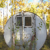 "Fallout Shelter" - copyright Caroline Gerardo