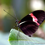 IMG_6276.jpg