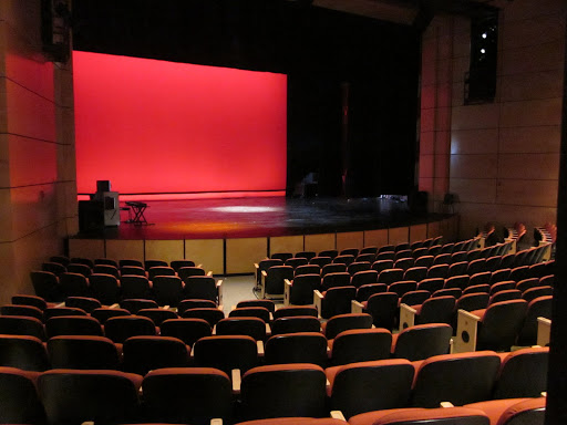 Students here are treated as young professionals, training and performing in spaces that look more like university facilities.  This could be an Off-Broadway theatre.
