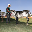 superleite2011_dia1507_124.JPG