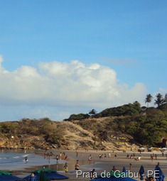 DSC02811