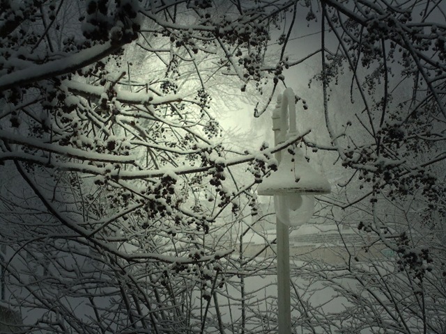 [Snow%2520March%25202%25201%255B3%255D.jpg]