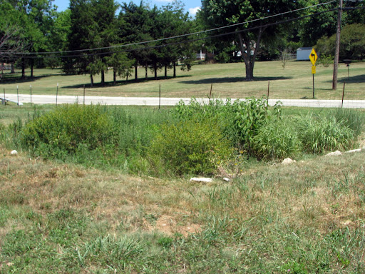 A rain garden at Valley Water Mill Park. (Photo credit: Jeremy Shreckhise)