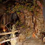 1530-4.JPG