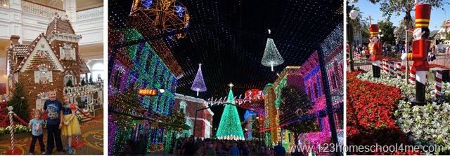 [Christmas%2520time%2520is%2520the%2520best%2520time%2520to%2520visit%2520disney%2520world%255B5%255D.jpg]