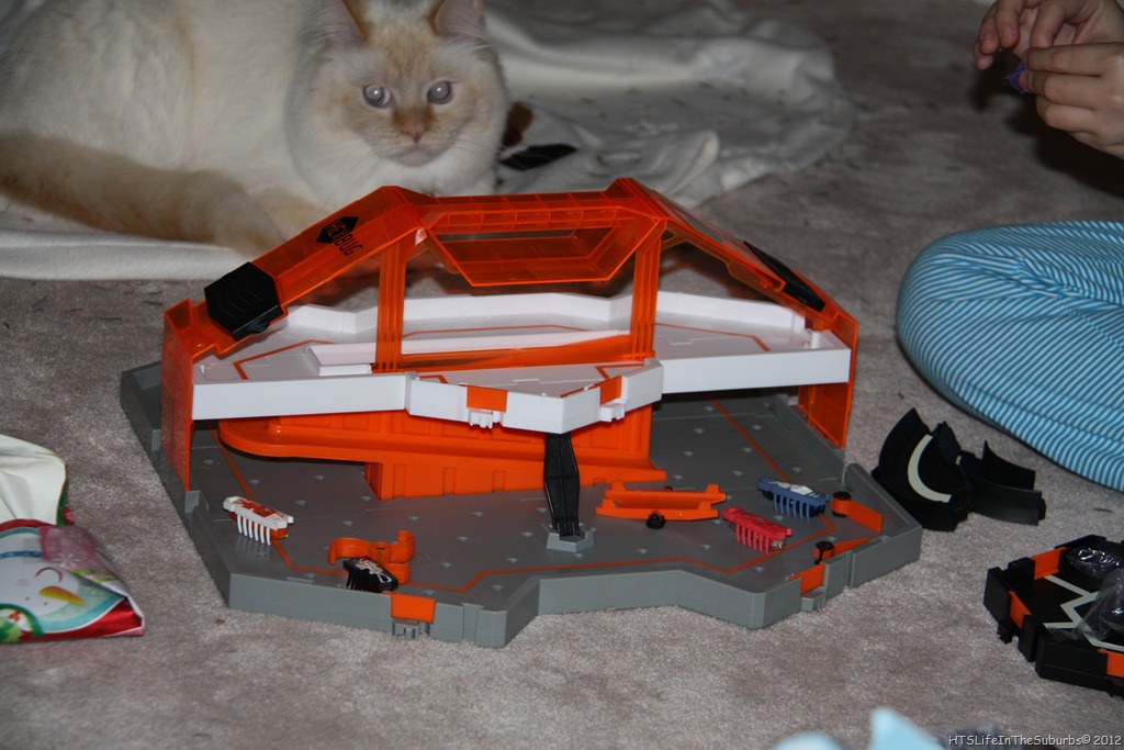 [IMG_7023%255B6%255D.jpg]