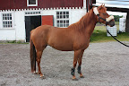 Isadora 21 juli 2011
