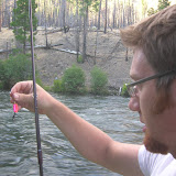 Tarp Baits the Hook