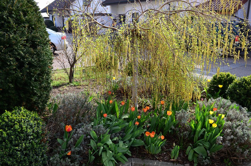 [spring%2520walk19%255B4%255D.jpg]