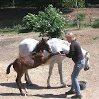 butin et Martine.jpg