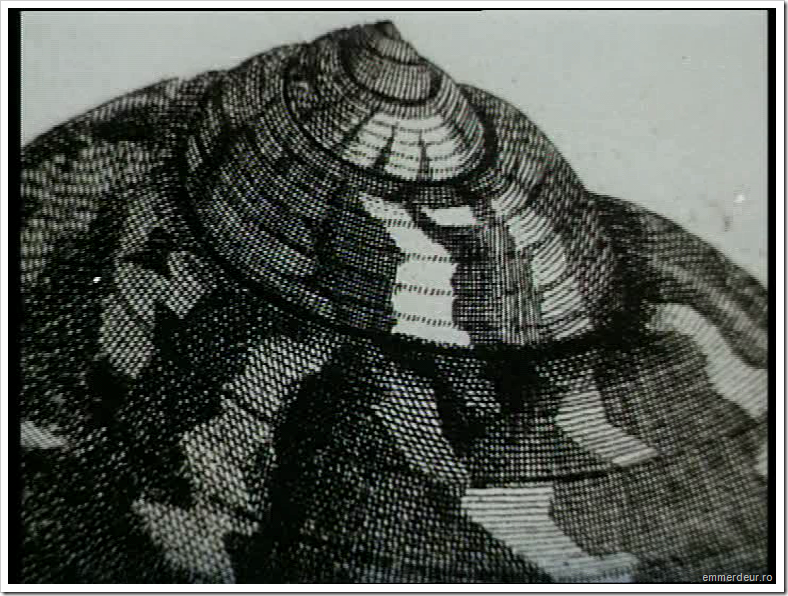 jan svankmajer historia naturae emmerdeur_12 jan svankmajer historia naturae emmerdeur_12