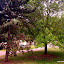 Green Bristol Green Bristol