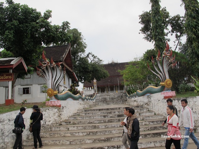[IMG_23142.jpg]