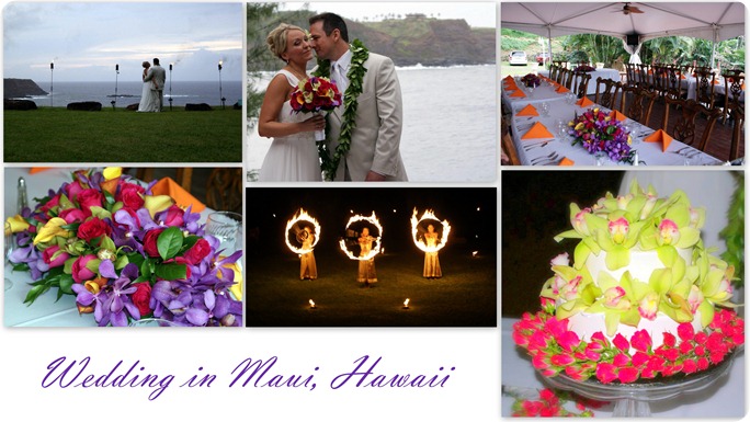 Hawaii Wedding