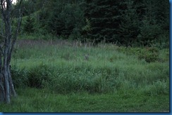 IMG_0995 IMG_0995